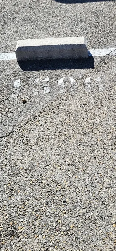 Résidence La Goélette Entre 🏖️plage Et Centre Ville