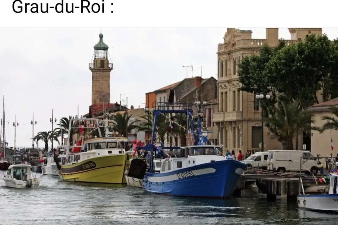 Résidence La Voile 🌊bleue : Plage 🏖️et Commerces à Pied 21 étoiles★ De France