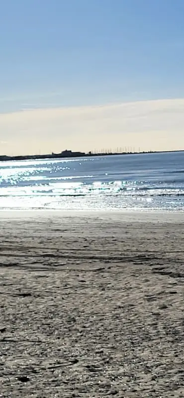 Résidence La Voile 🌊bleue : Plage 🏖️et Commerces à Pied 21 étoiles★ De France