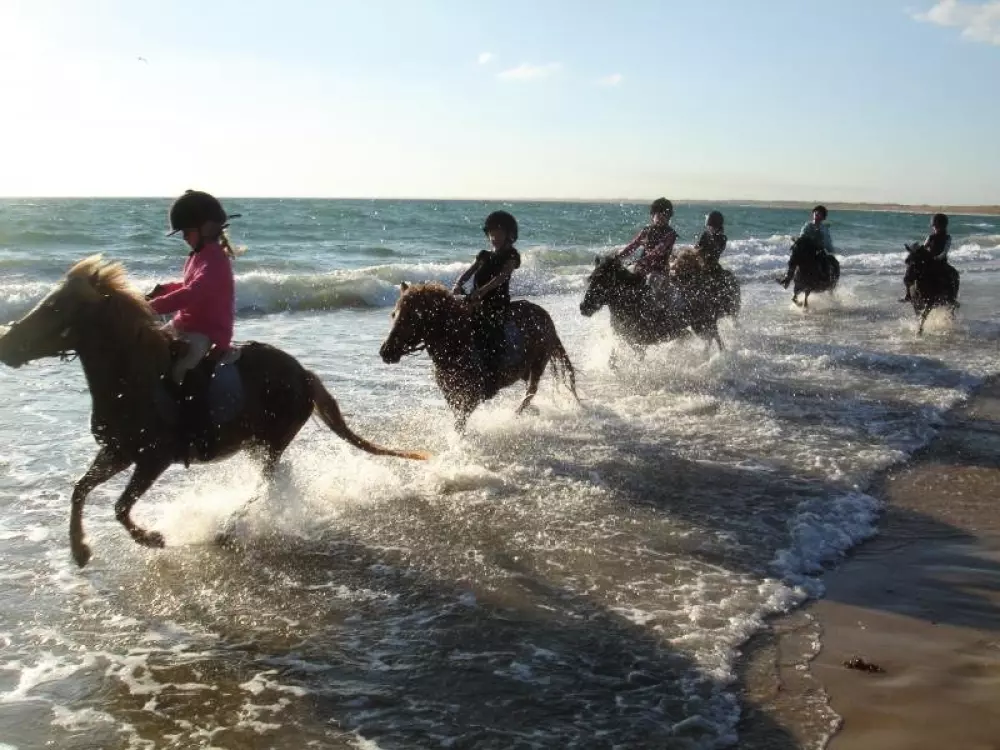 Résidence Lagon Bleu