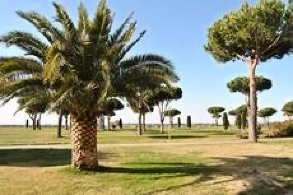 Résidence Les Caraibes