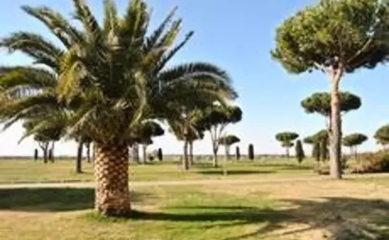 Résidence Les Caraibes