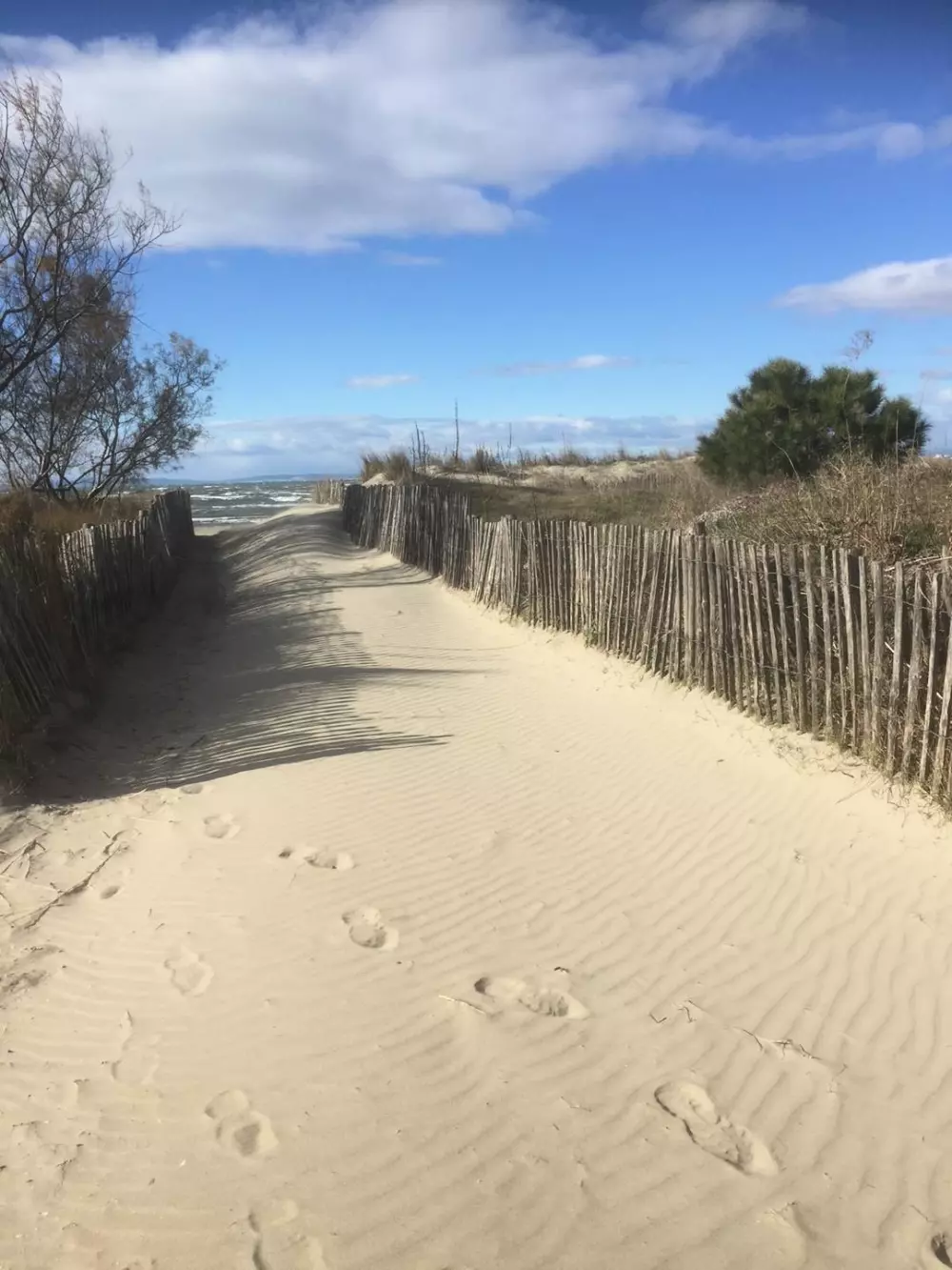 Résidence Les Caraibes