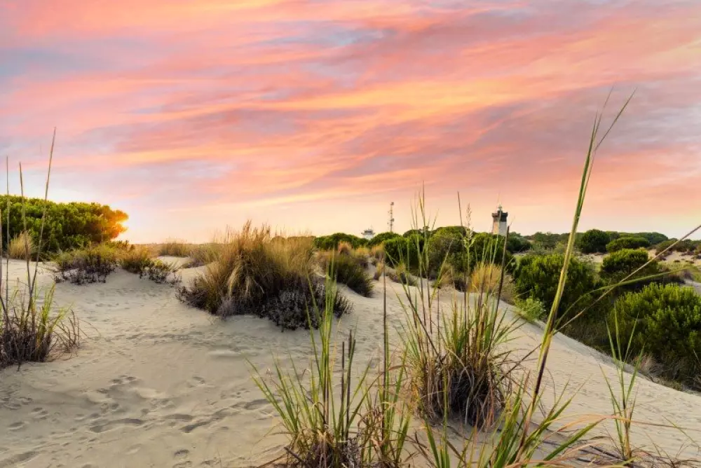 Résidence Les Maisons De La Plage 2