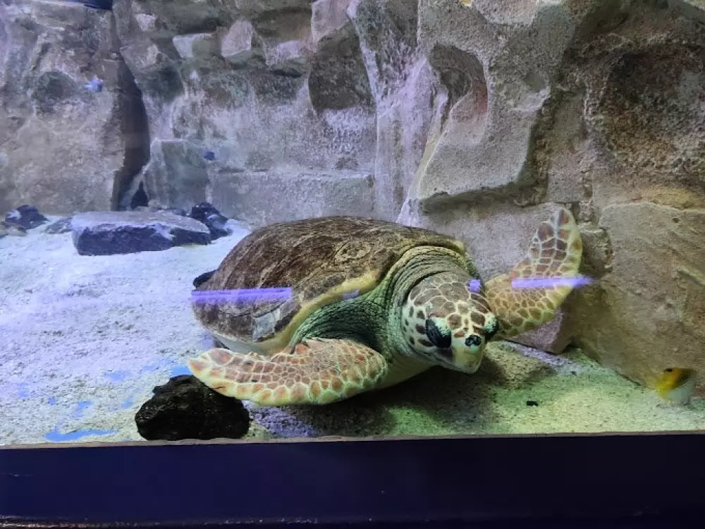 Résidence Les Maisons De La Plage 2