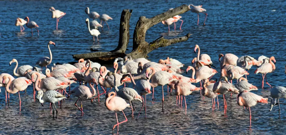 Résidence Les Maisons De La Plage 2