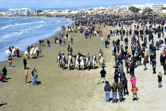 Résidence Les Maisons De La Plage
