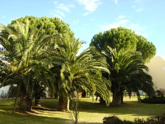 Résidence Los Amigos 2