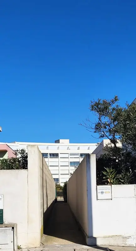 Résidence 🌊marie Galante La Plage Au Bout Du Chemin !