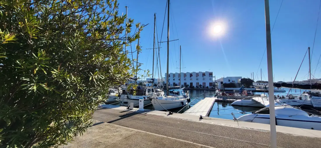 Résidence Marina❄️ Avec Vue Sur Les Bateaux 🌊 !