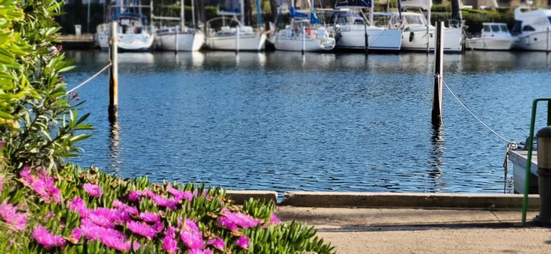Résidence Marina Lairan 🌊vue Sur L'eau Et Les Bateaux ⛵de Port Camargue 2 étoiles F