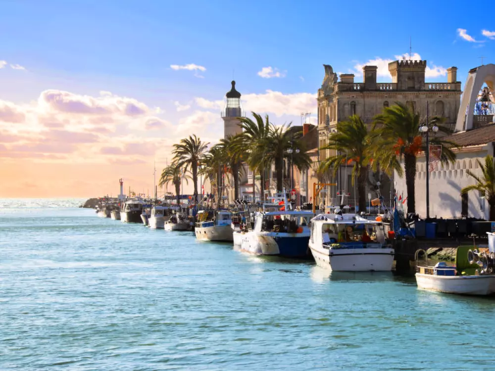 Résidence Port Royal - Corvette