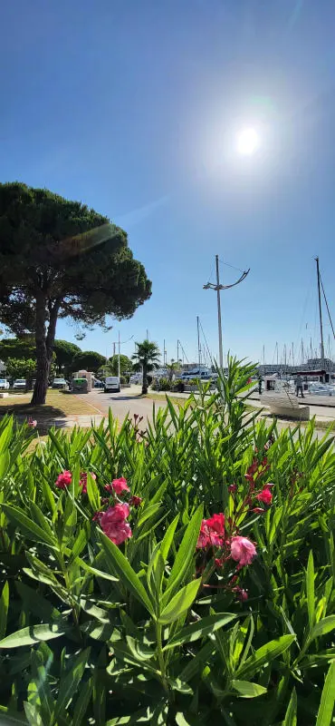 Résidence Terrasse ❄️sur Le Quai Du Port De Plaisance⛵