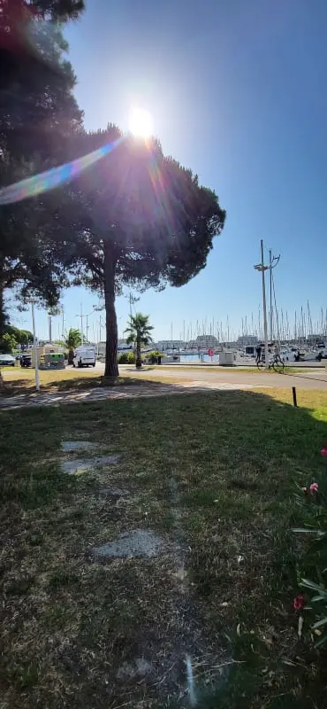 Résidence Terrasse ❄️sur Le Quai Du Port De Plaisance⛵