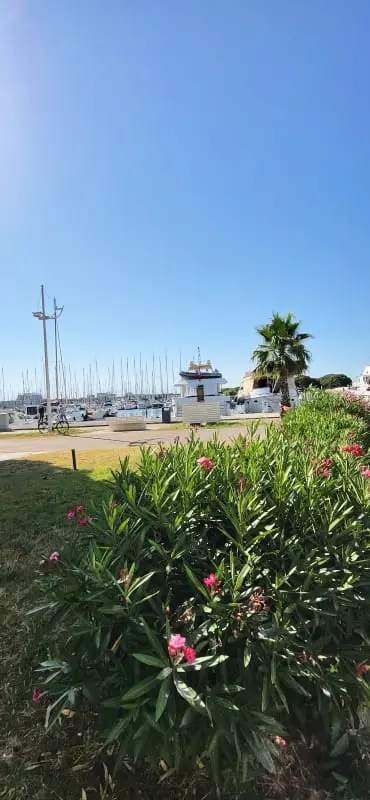 Résidence Terrasse ❄️sur Le Quai Du Port De Plaisance⛵