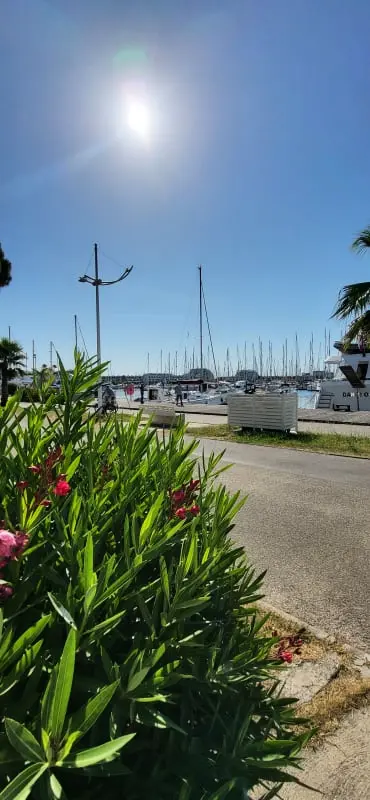 Résidence Terrasse ❄️sur Le Quai Du Port De Plaisance⛵