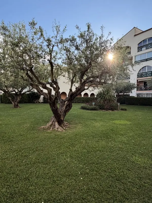 Résidence Terrasses Du Lac – Vue Lac Piscine Clim Parking Terrasse