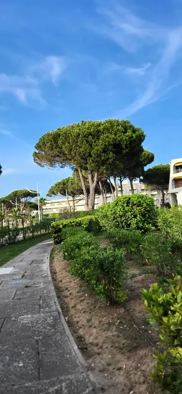 Résidence Une Escale En Bord De Plage ⛱️avec Piscine Et Jardin