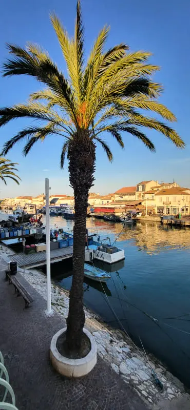 Résidence Villa Coco 31 étoiles★🌊⚓ Un Pt'it Grau De Bonheur ⚓ !
