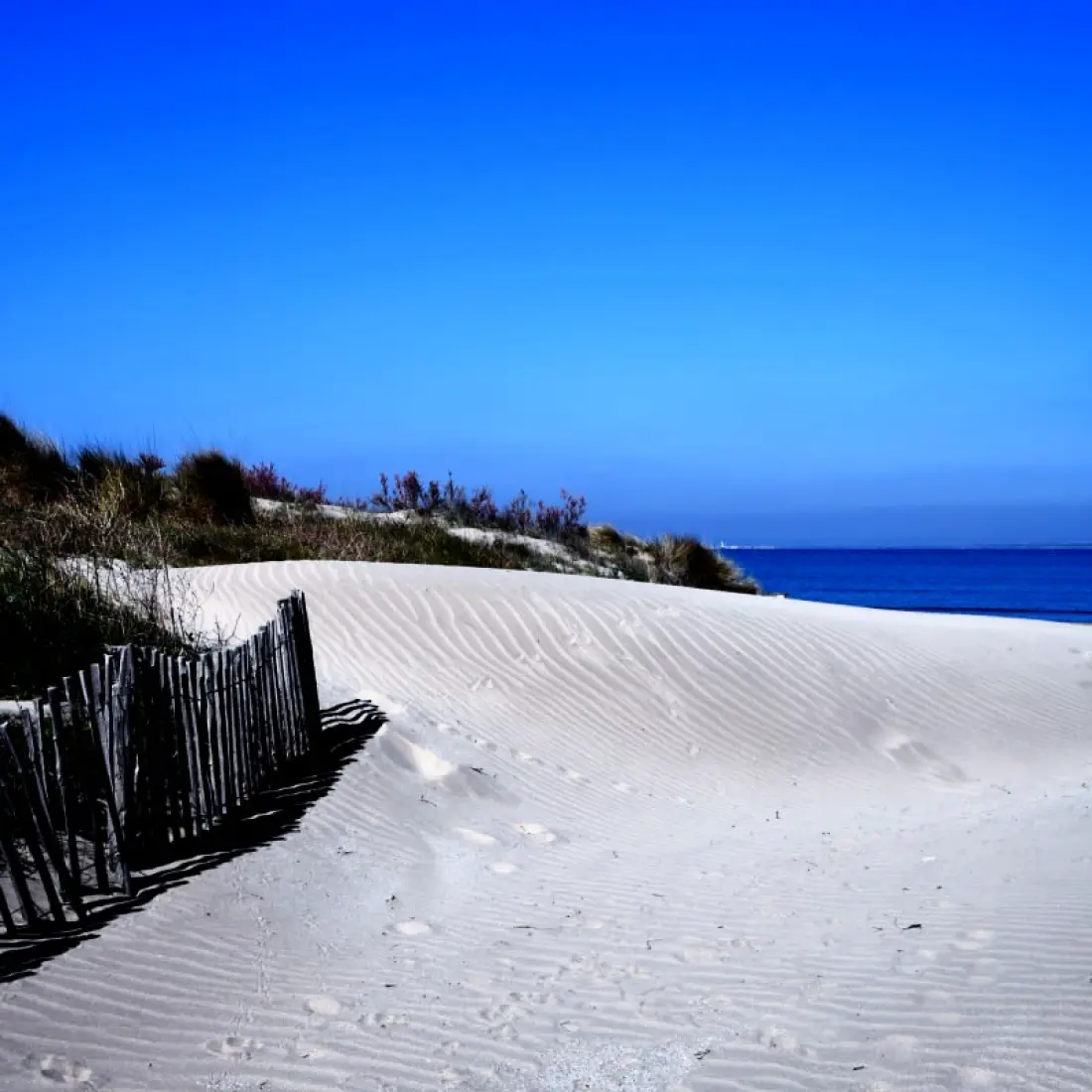 Résidence 🌊 Villa Faraman 🏖️au Bord De L'eau