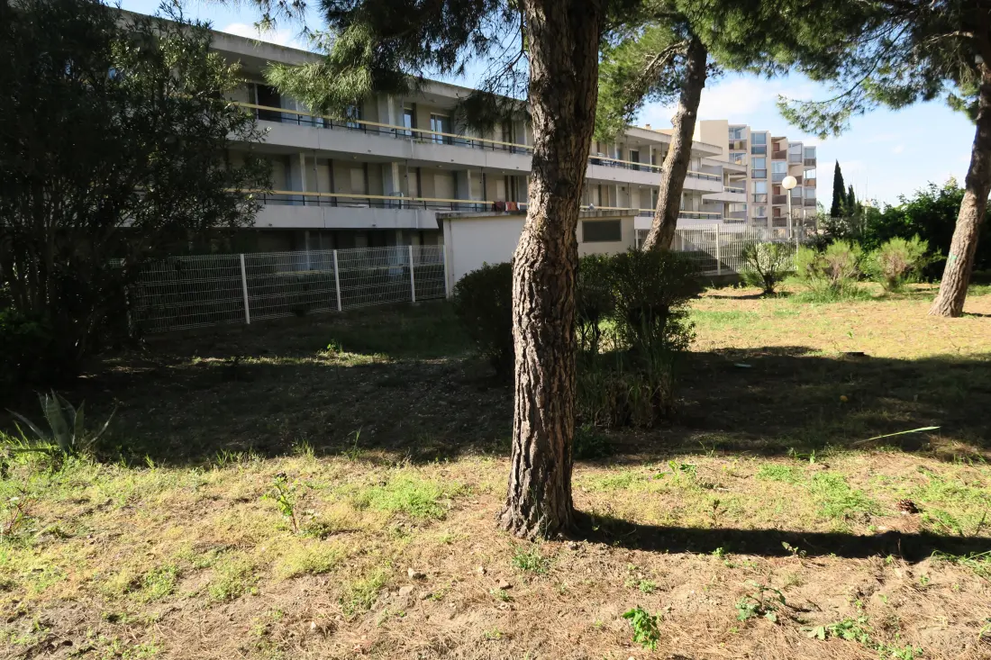 Studio à Le Grau-du-Roi