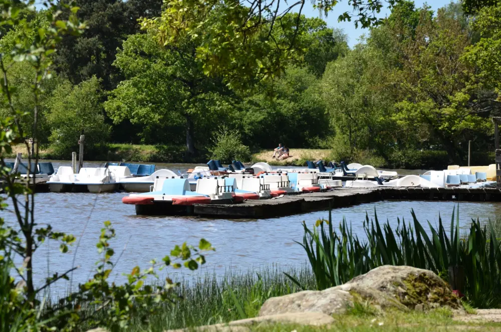 Camping Les Tournesols 3 étoiles★★★