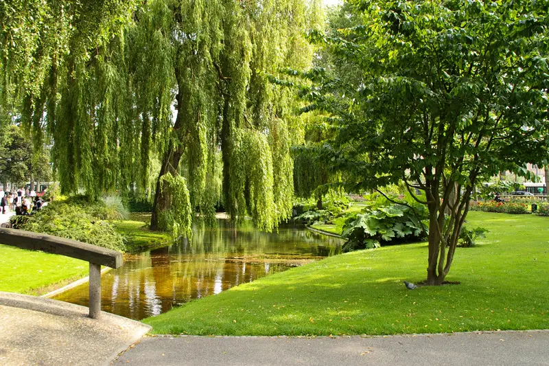 Gîte de France Gîtes de france® - le nid de verdure 3 épis