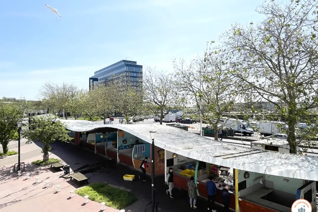 🧜 L'armateur - Bassin Du Roi, Centre Historique Du Havre