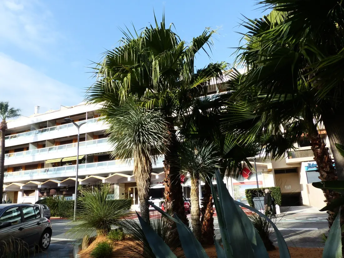 Location de Vacances Le Lavandou 150