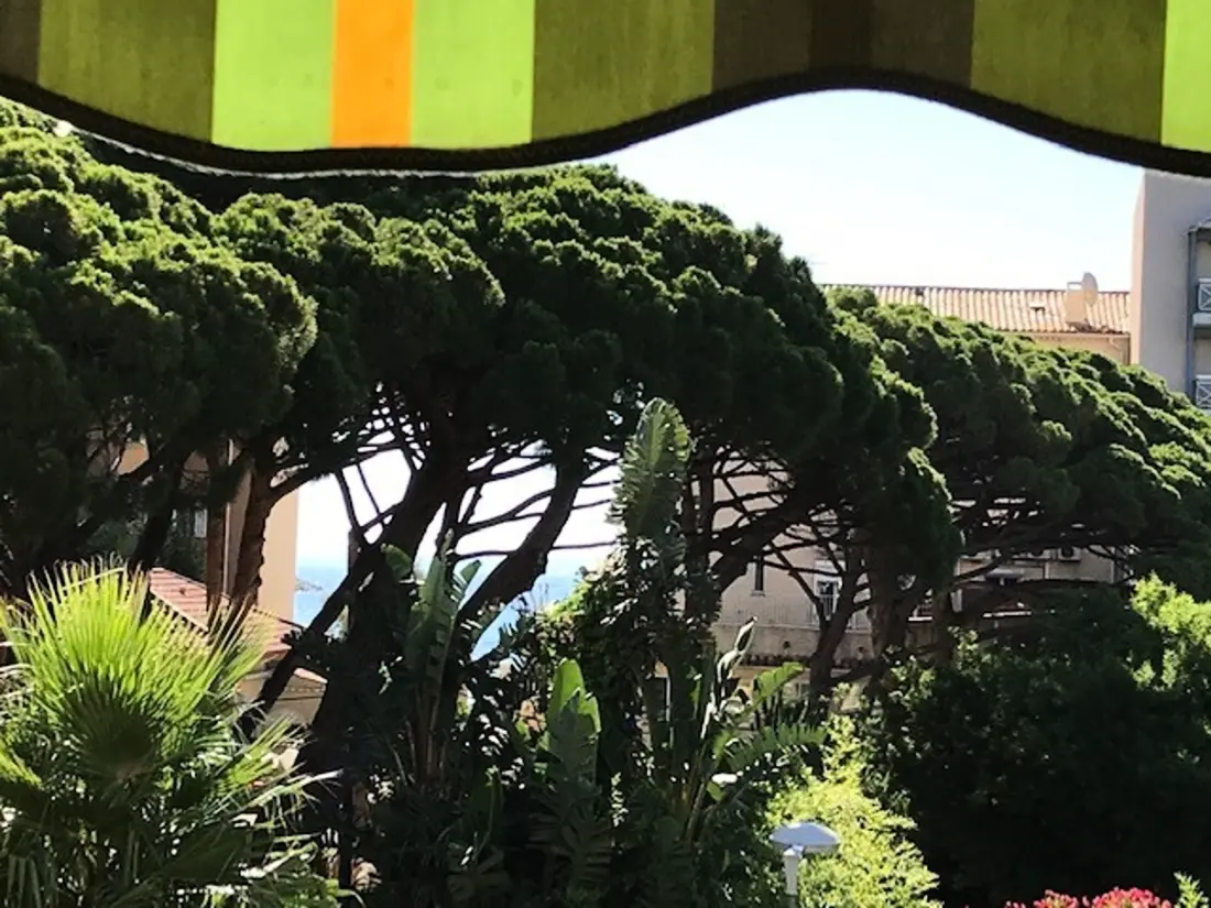 Location de Vacances Le Lavandou 150