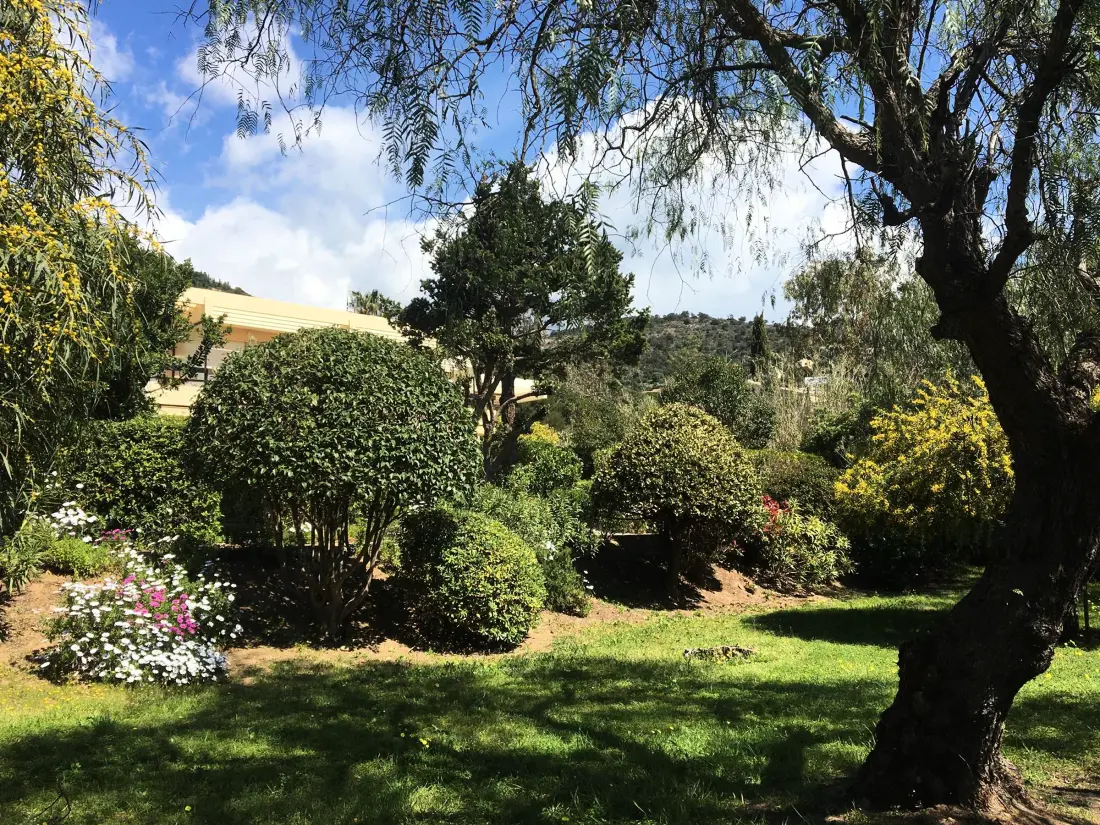 Location de Vacances Le Lavandou 212