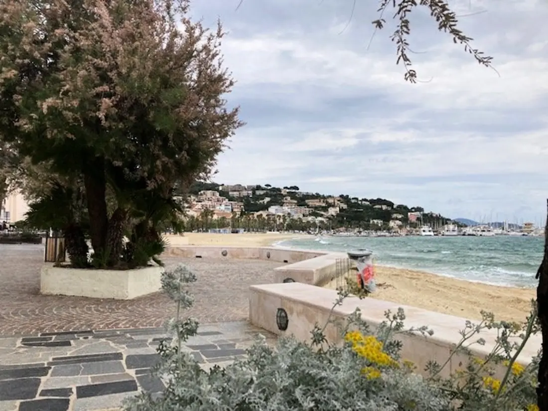 Location de Vacances Le Lavandou 250