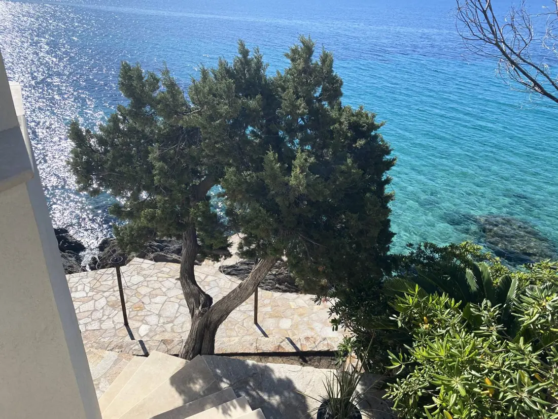 Location de Vacances Le Lavandou 260