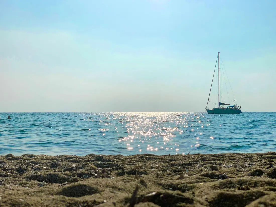 Location de Vacances Le Lavandou 285