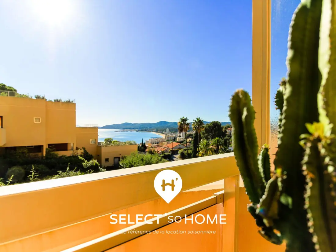 Location de Vacances Le Lavandou 294