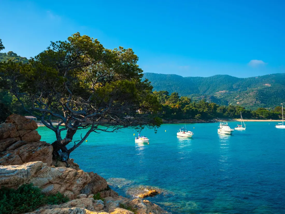 Location de Vacances Le Lavandou 297