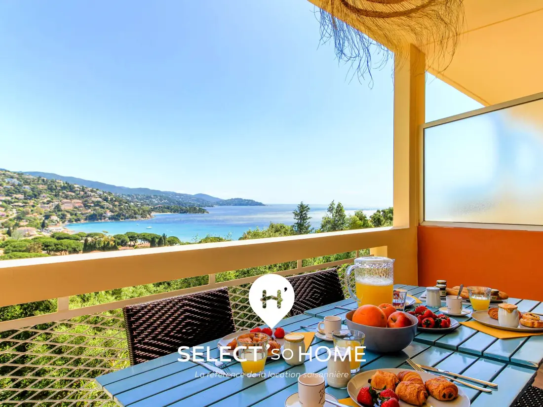 Location de Vacances Le Lavandou 311