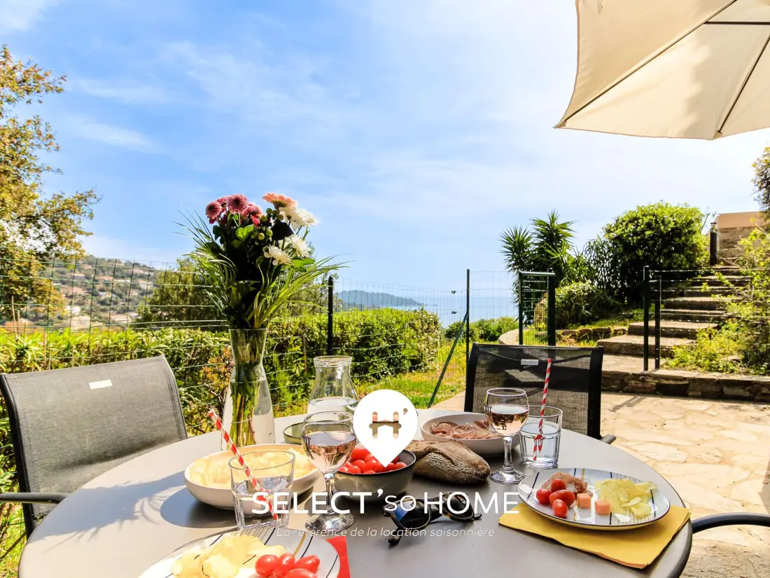 Location de Vacances Le Lavandou 313