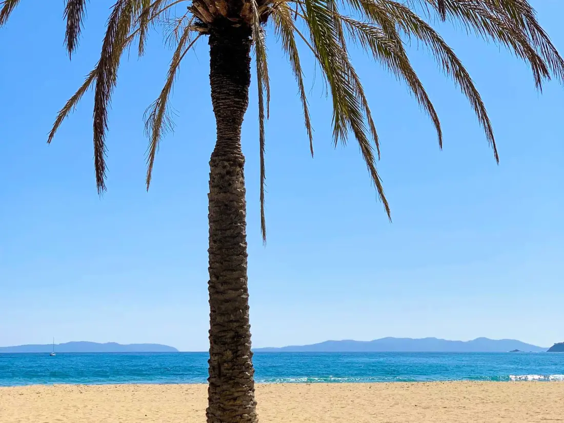 Location de Vacances Le Lavandou 325