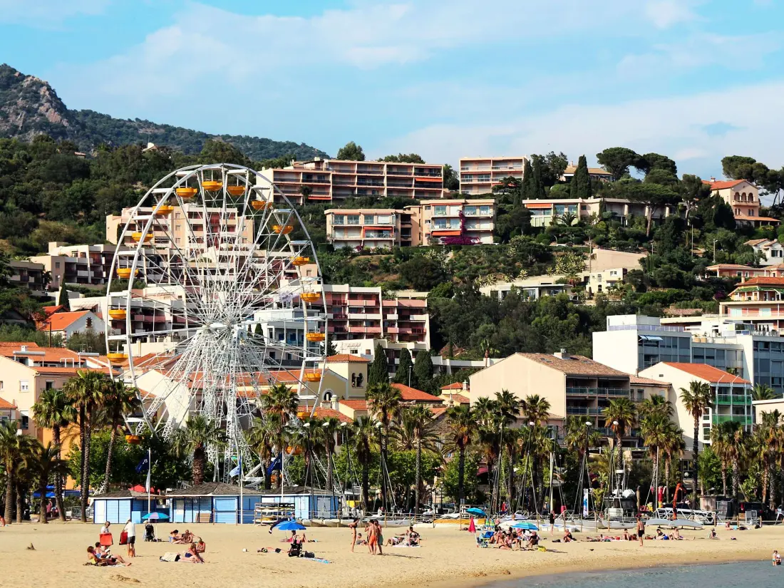 Location de Vacances Le Lavandou 325
