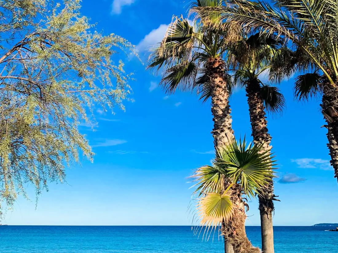 Location de Vacances Le Lavandou 332