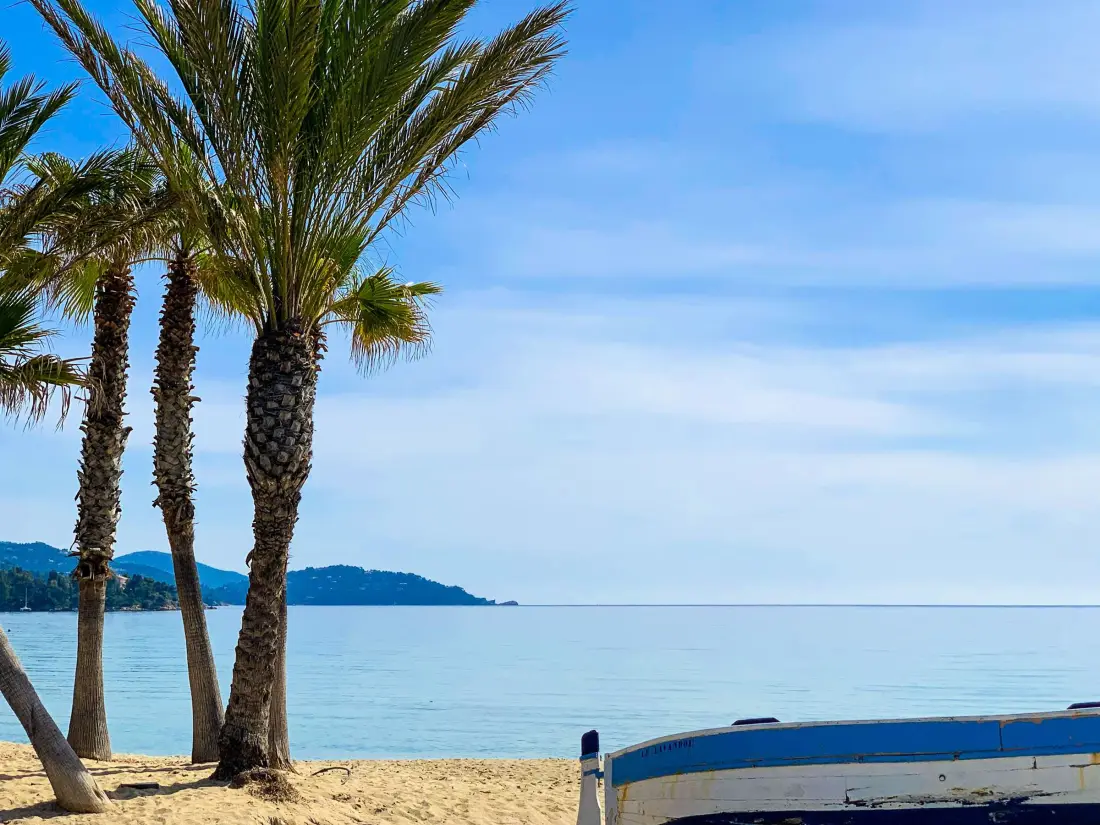 Location de Vacances Le Lavandou 347