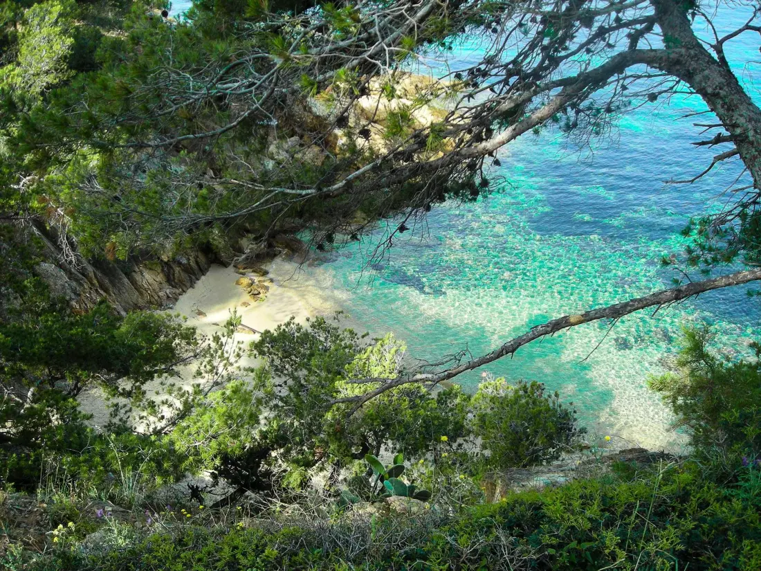 Location de Vacances Le Lavandou 355