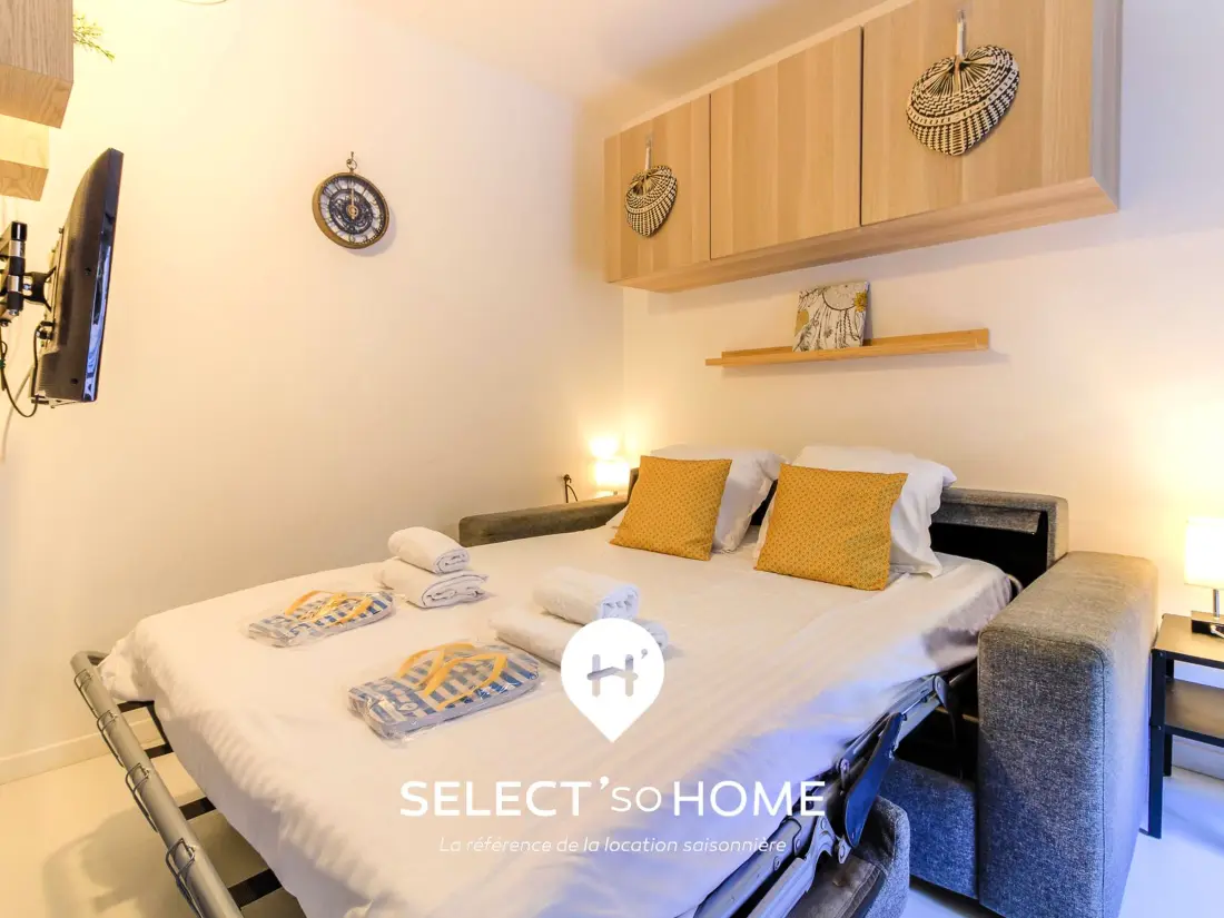 Location de Vacances Le Lavandou 360
