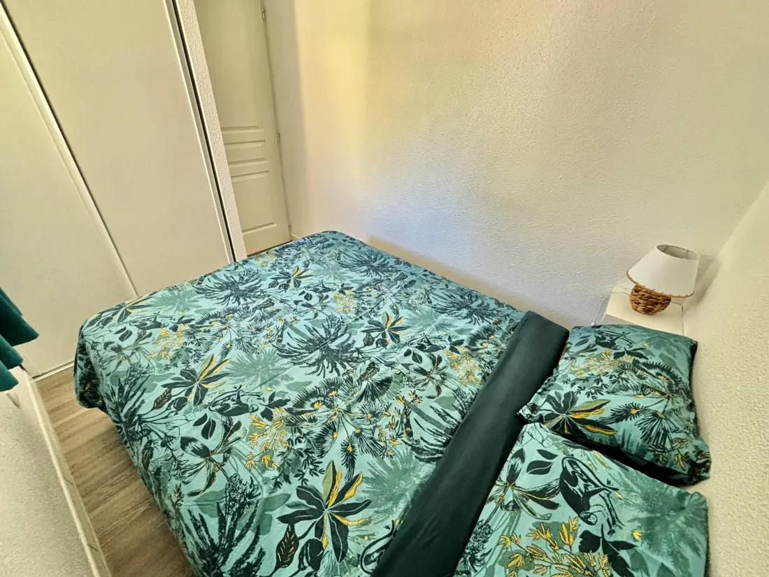 Maison de Vacances Le Lavandou 279