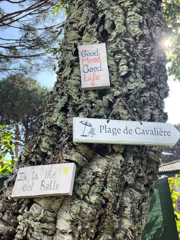 Résidence Appartement Avec Jardin - Cavalière