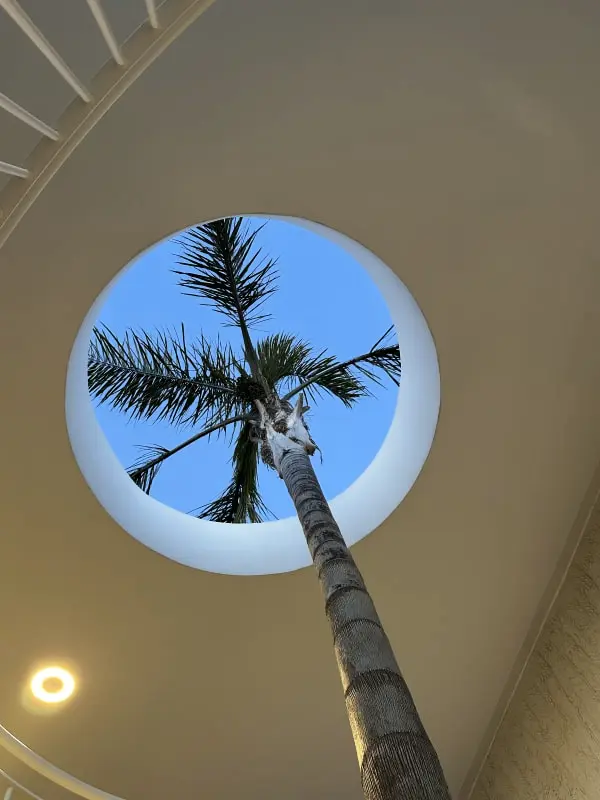 Résidence Appartement Neuf Avec Terrasse Et Parking Et Piscine