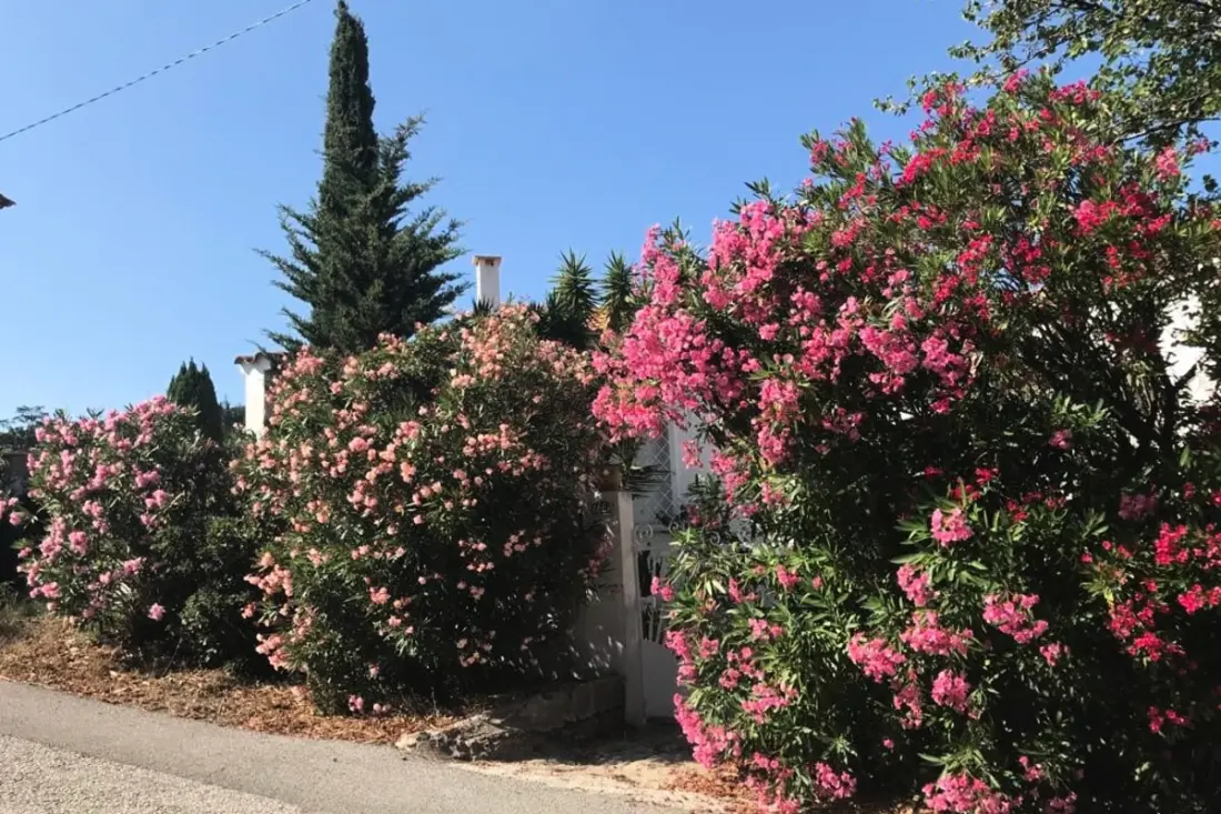 Résidence Havre De Paix Avec Vue Mer 🌴 Terrasse &amp; Jardin Privatif