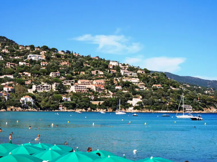 Résidence L'Alicastre