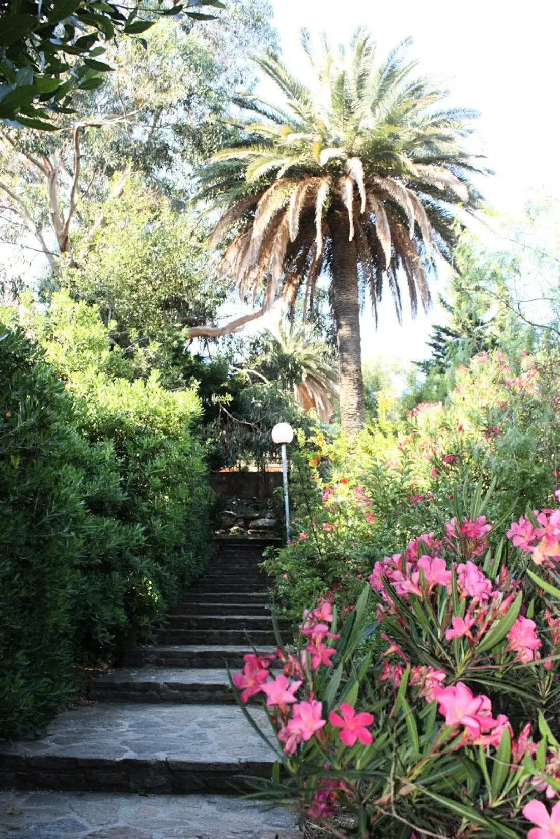 Résidence Le Domaine de la Pinède